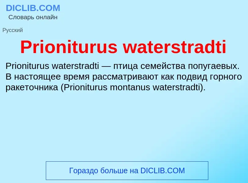 Что такое Prioniturus waterstradti - определение