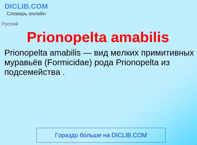 Что такое Prionopelta amabilis - определение