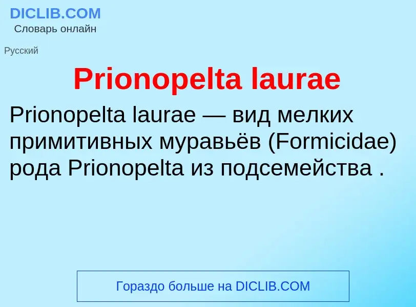 Что такое Prionopelta laurae - определение