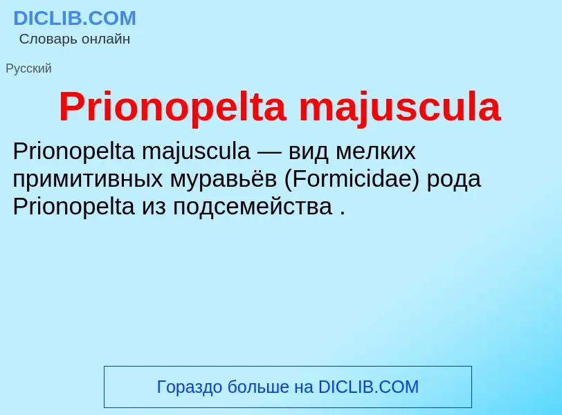 Что такое Prionopelta majuscula - определение