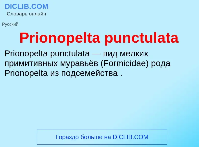 Что такое Prionopelta punctulata - определение