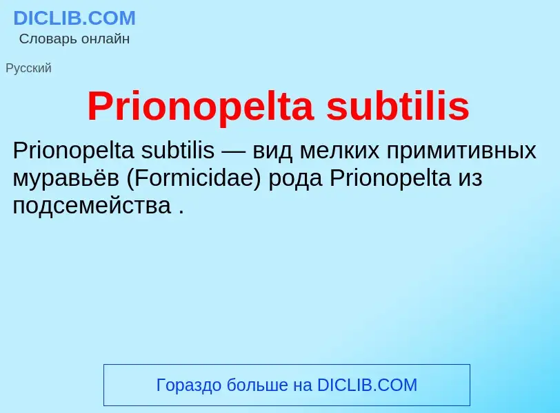 Что такое Prionopelta subtilis - определение