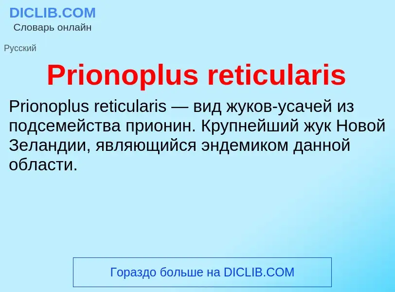 Что такое Prionoplus reticularis - определение