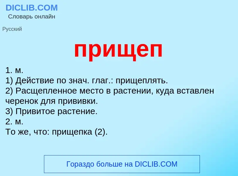 Wat is прищеп - definition