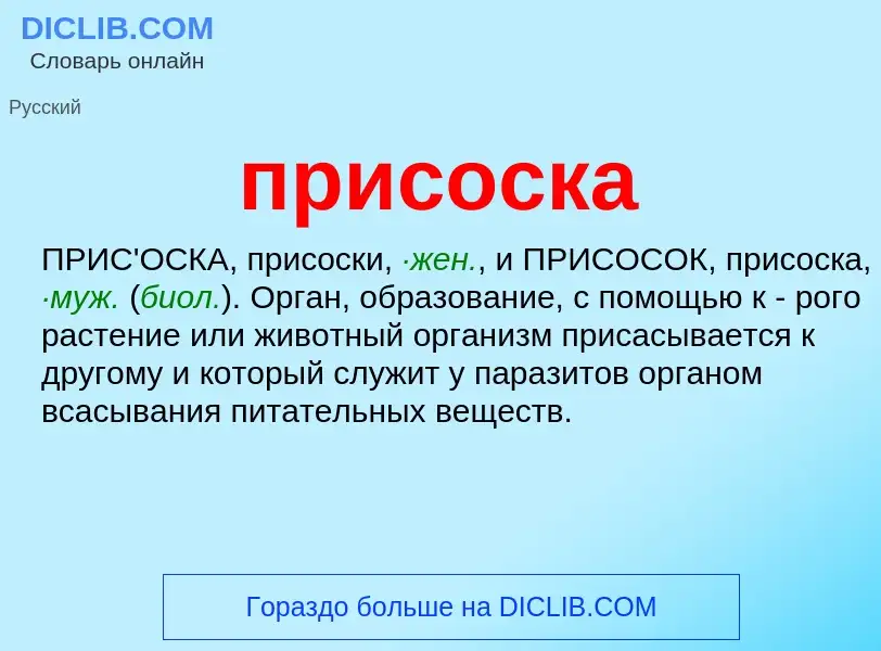 Wat is присоска - definition