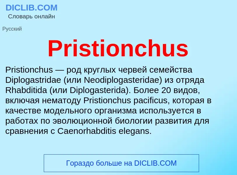 Что такое Pristionchus - определение