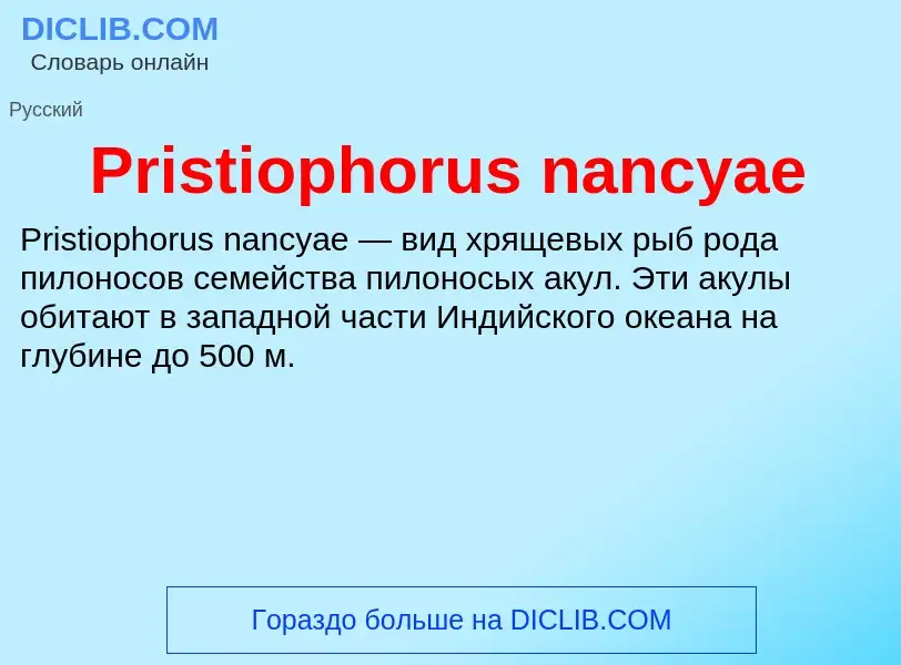 Что такое Pristiophorus nancyae - определение