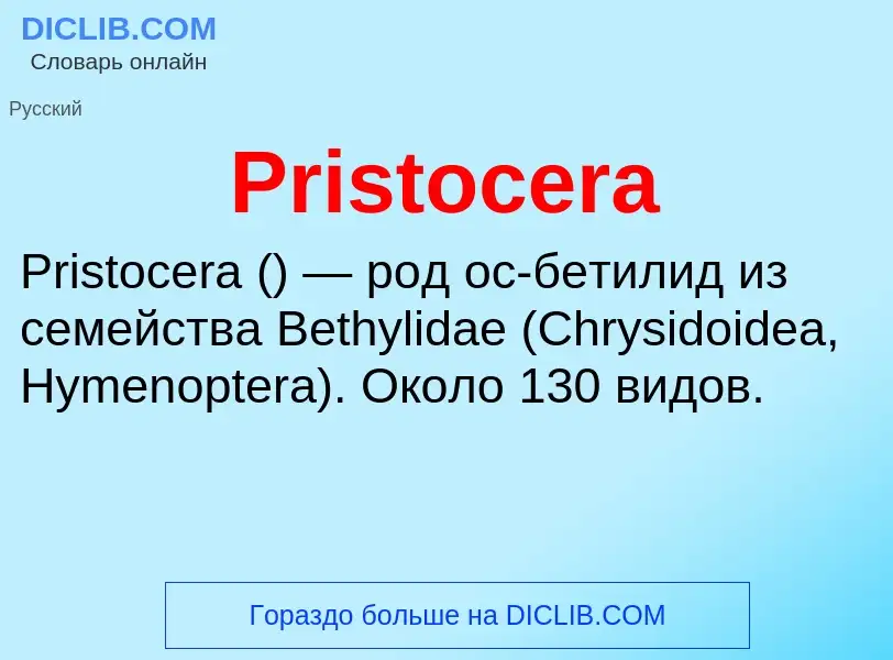 Что такое Pristocera - определение