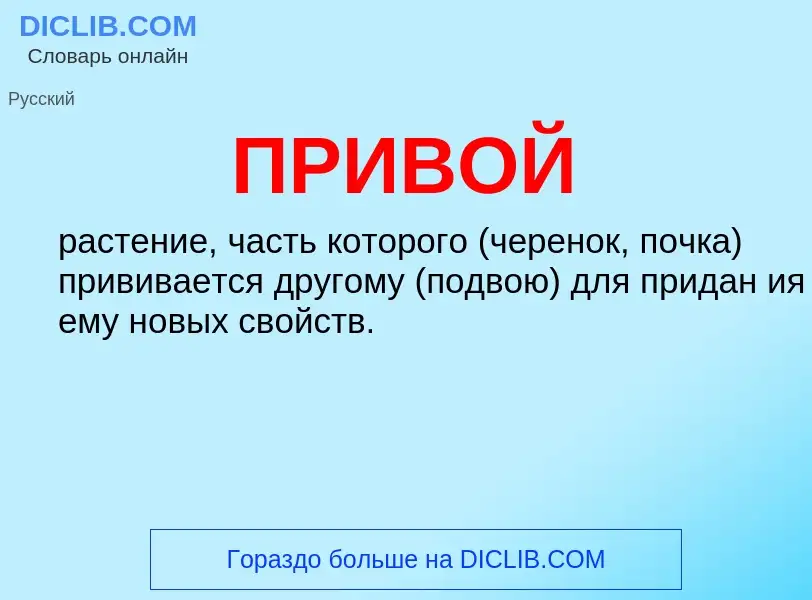 ¿Qué es ПРИВОЙ? - significado y definición
