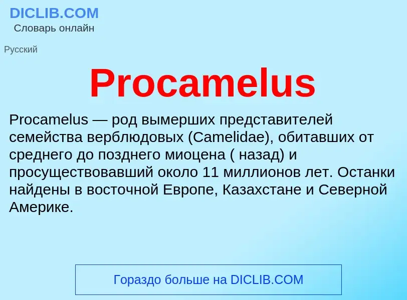 Что такое Procamelus - определение