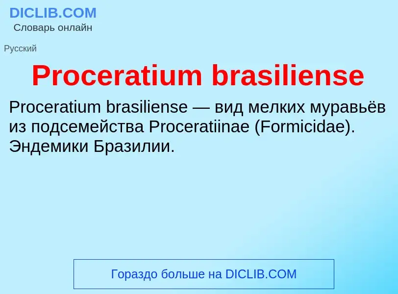 Что такое Proceratium brasiliense - определение