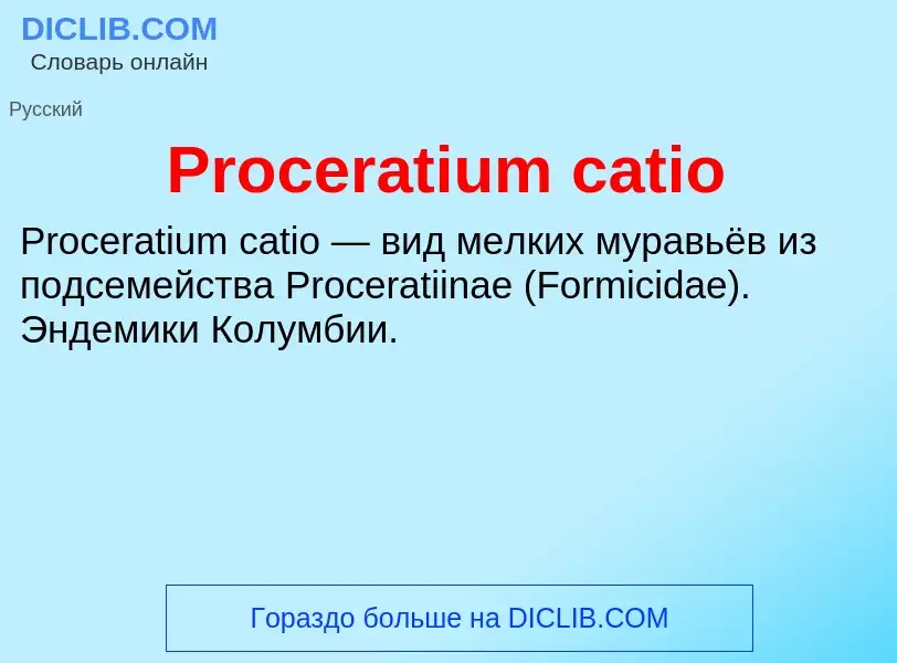 Что такое Proceratium catio - определение