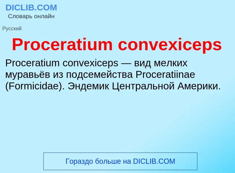 Что такое Proceratium convexiceps - определение