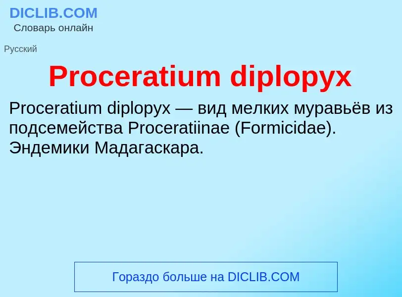 Τι είναι Proceratium diplopyx - ορισμός