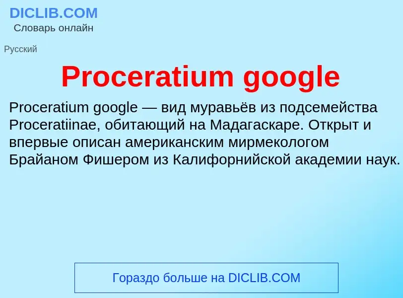 Что такое Proceratium google - определение