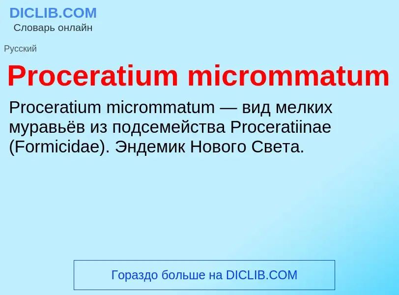 Что такое Proceratium micrommatum - определение