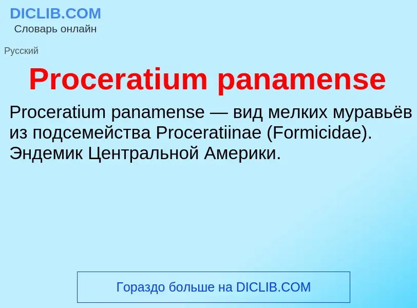 Что такое Proceratium panamense - определение