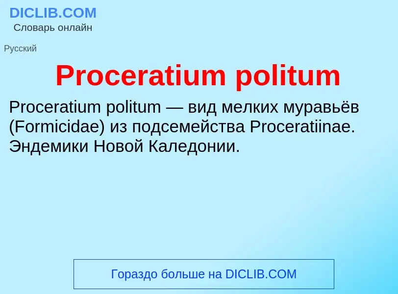 Что такое Proceratium politum - определение