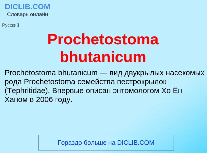 Что такое Prochetostoma bhutanicum - определение