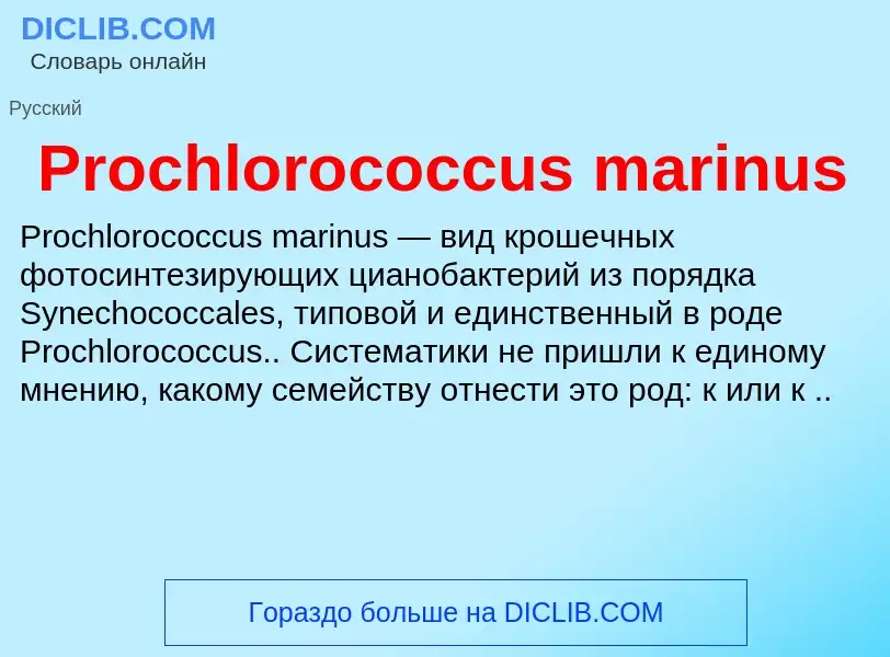 Что такое Prochlorococcus marinus - определение