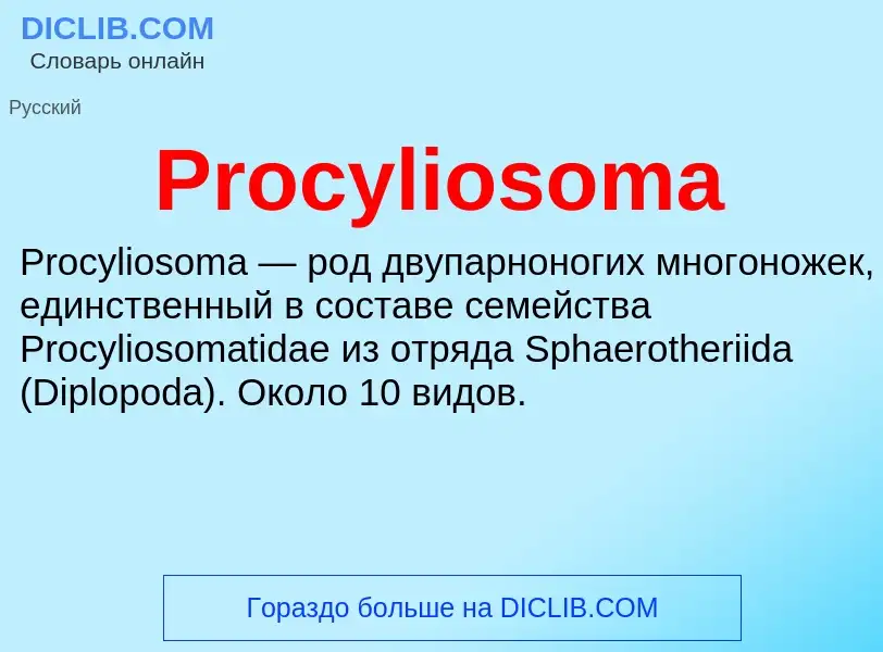 Что такое Procyliosoma - определение