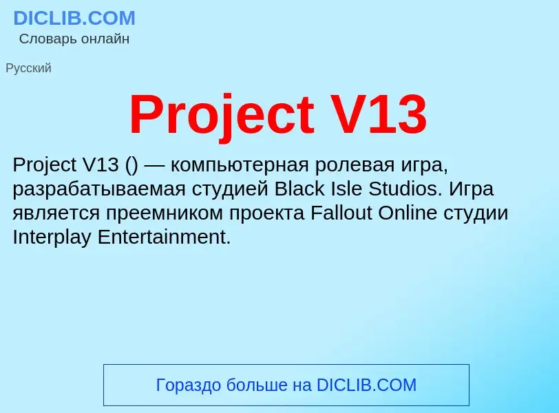 Wat is Project V13 - definition