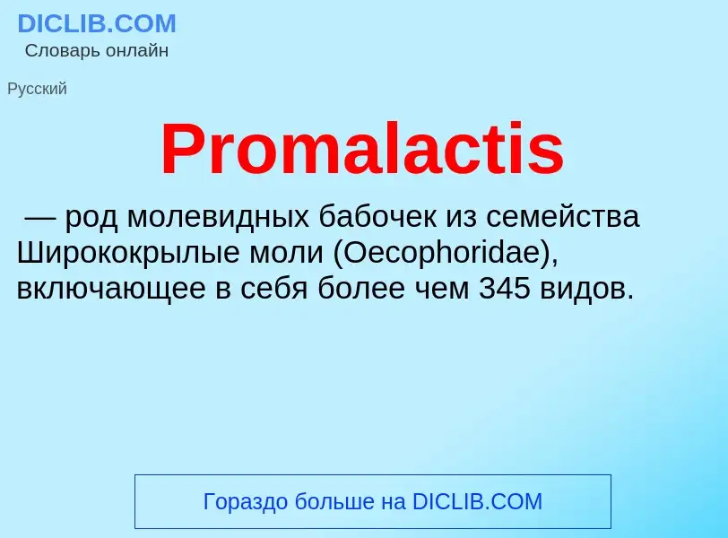 Wat is Promalactis - definition