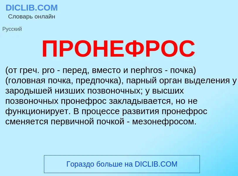 Wat is ПРОНЕФРОС - definition