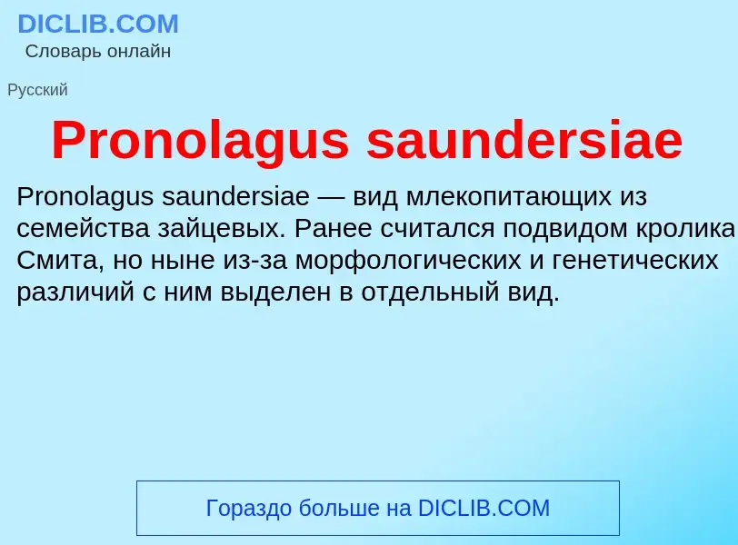 Что такое Pronolagus saundersiae - определение