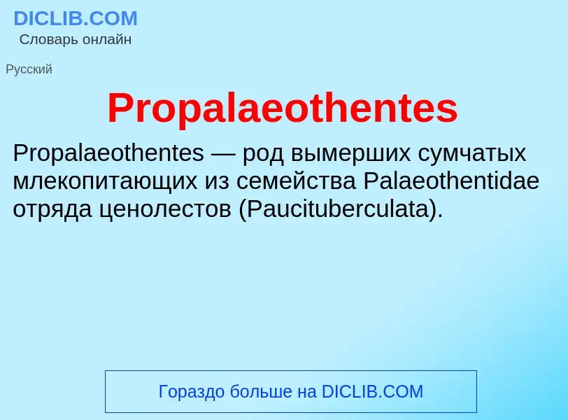 Wat is Propalaeothentes - definition