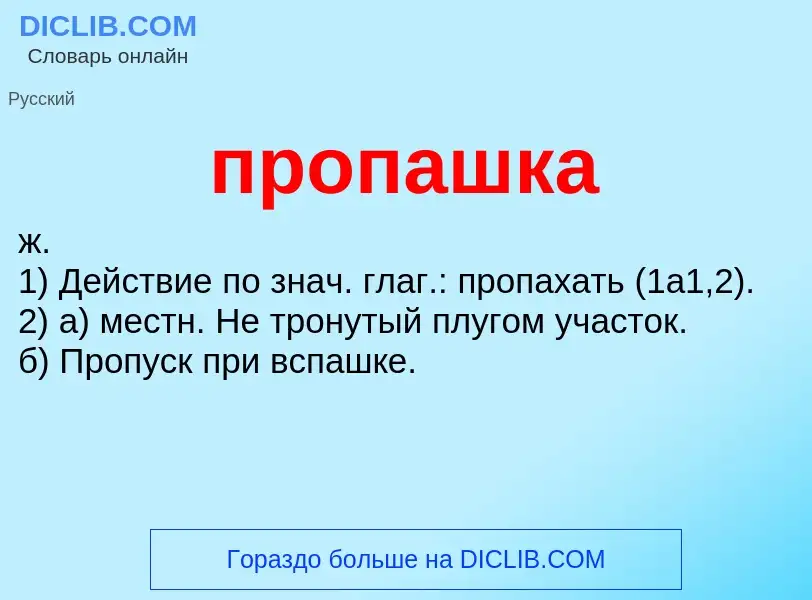 Wat is пропашка - definition