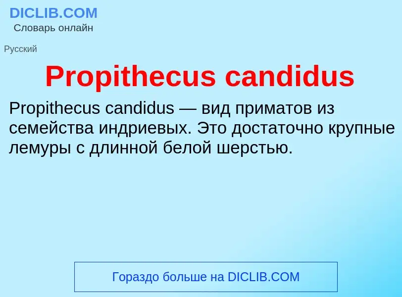 Что такое Propithecus candidus - определение