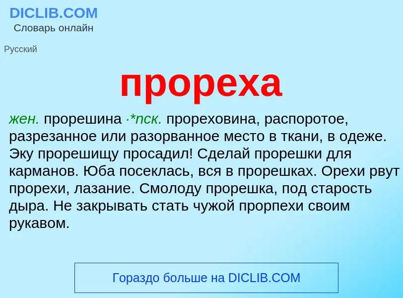 Wat is прореха - definition