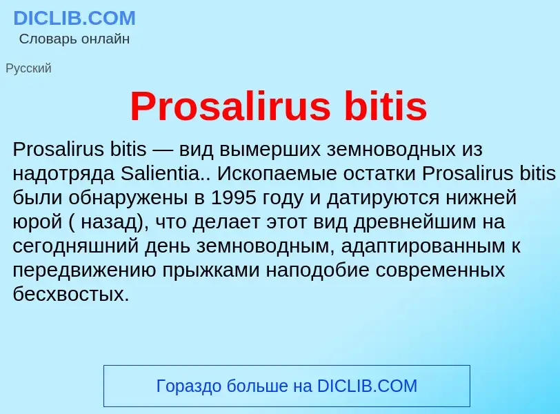 Wat is Prosalirus bitis - definition