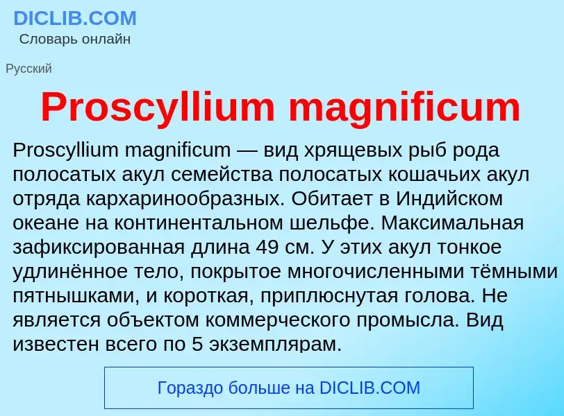 Что такое Proscyllium magnificum - определение