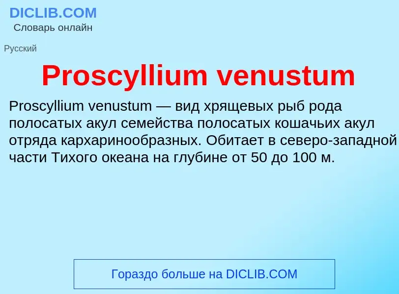 Что такое Proscyllium venustum - определение