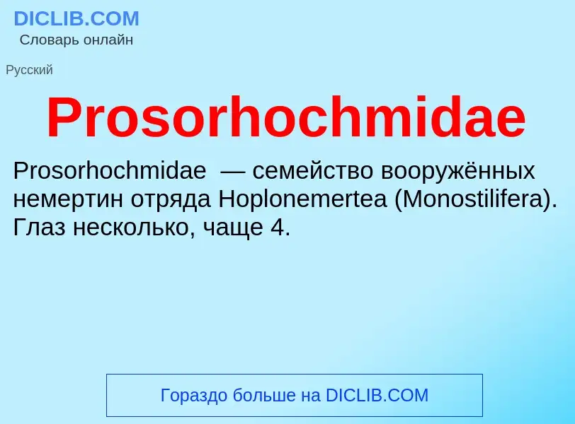 Что такое Prosorhochmidae - определение