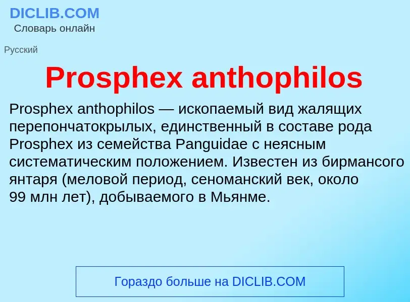 Что такое Prosphex anthophilos - определение