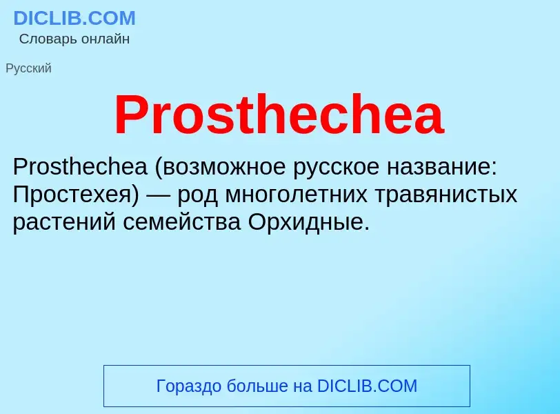 Что такое Prosthechea - определение