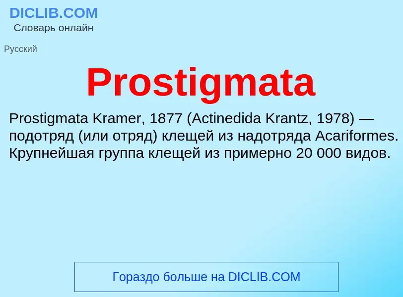 Wat is Prostigmata - definition