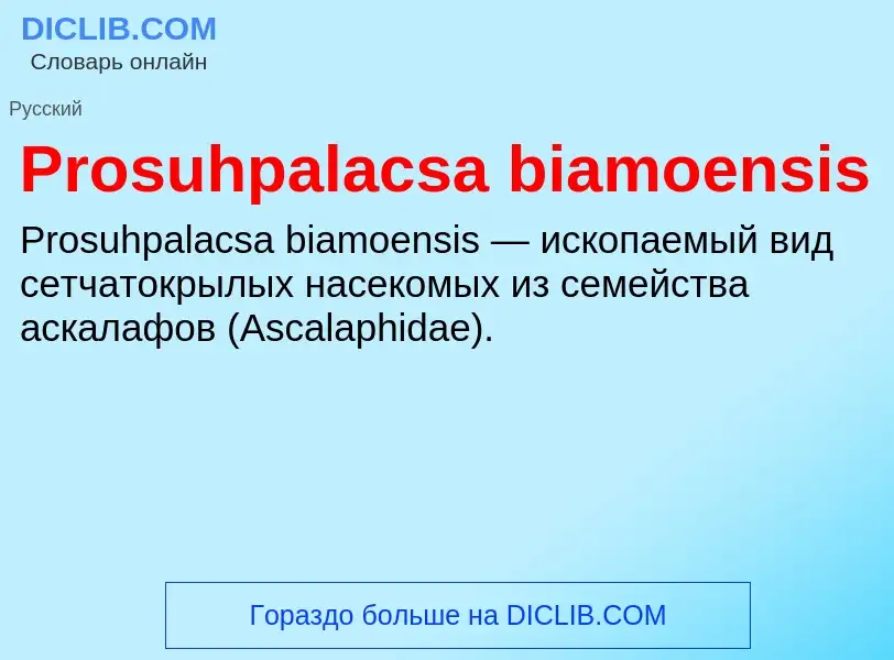 Wat is Prosuhpalacsa biamoensis - definition