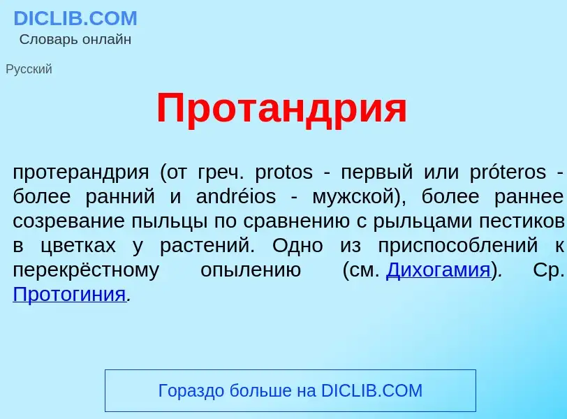 Что такое Прот<font color="red">а</font>ндрия - определение