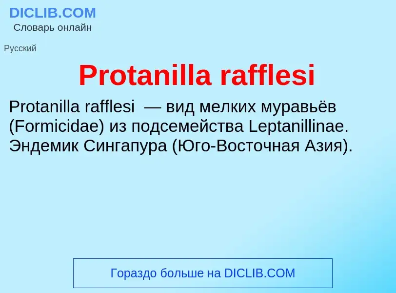 Что такое Protanilla rafflesi - определение