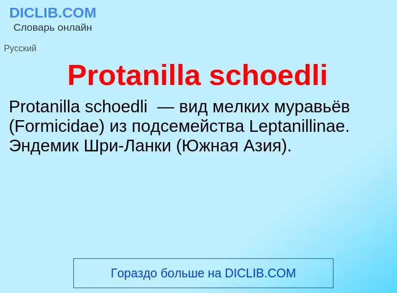 Что такое Protanilla schoedli - определение