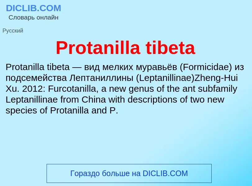 Wat is Protanilla tibeta - definition