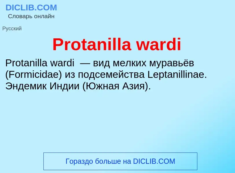 Wat is Protanilla wardi - definition