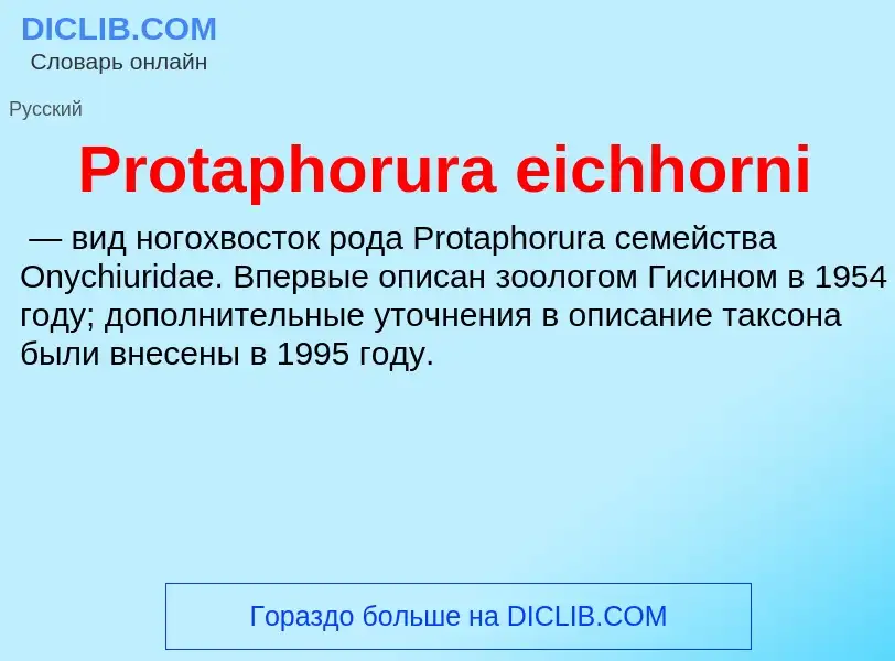 Что такое Protaphorura eichhorni - определение