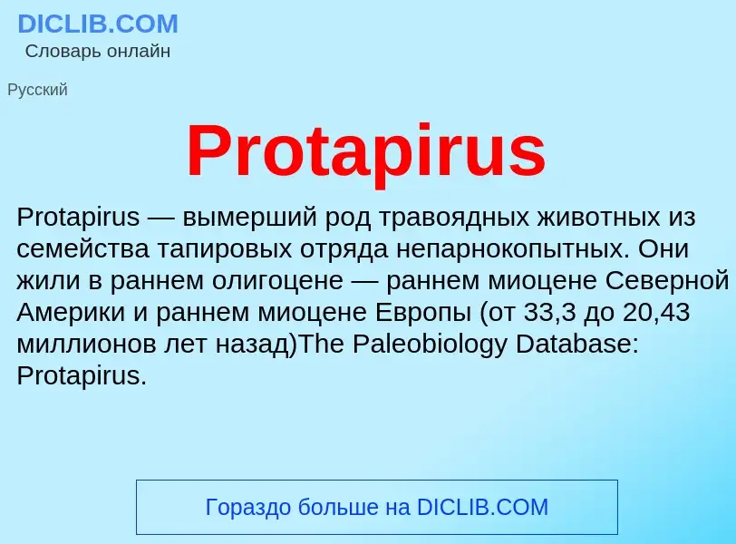 Wat is Protapirus - definition