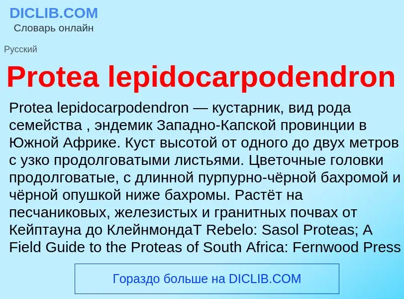 Что такое Protea lepidocarpodendron - определение