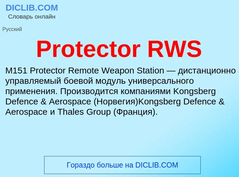 Что такое Protector RWS - определение